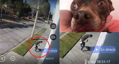 'El Patrón' patea salvajemente a un hombre después de que su .